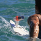 Illustration for article titled A Surfboard Mount for the ContourHD Camera